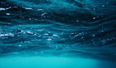 Water Paranormal Activity